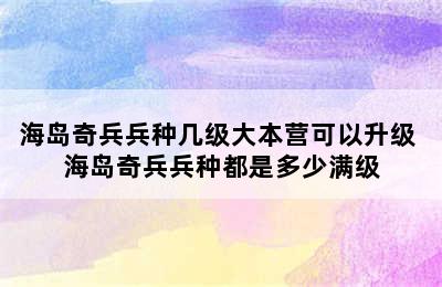 海岛奇兵兵种几级大本营可以升级 海岛奇兵兵种都是多少满级